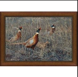 Wild Wings PF Framed Canvas 2022-23 Print of the Year